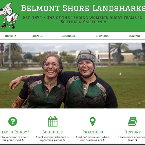 Screenshot of BSWRFC homepage